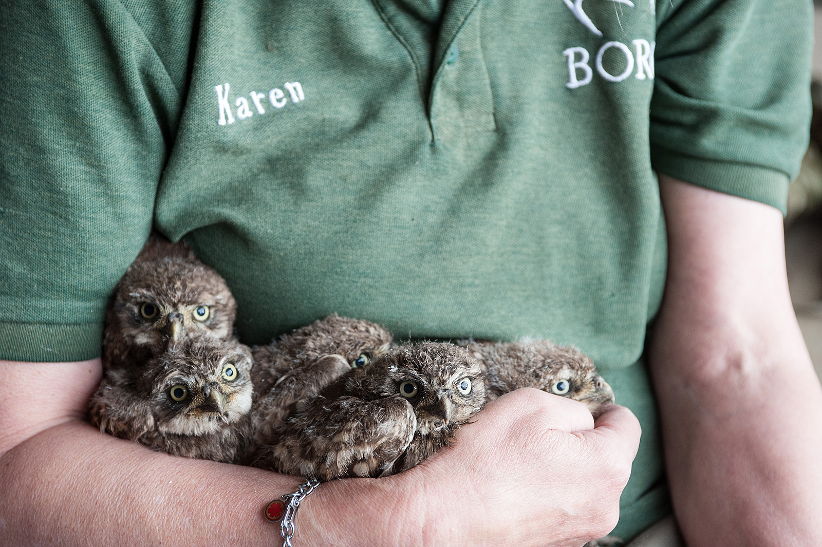 SB3_0236 - Karen with Little Owl chicks from box 542 (med res)